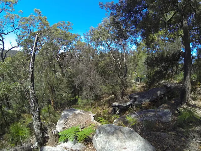 Footage: A contemplative Sunday - The Globe in Turquoise