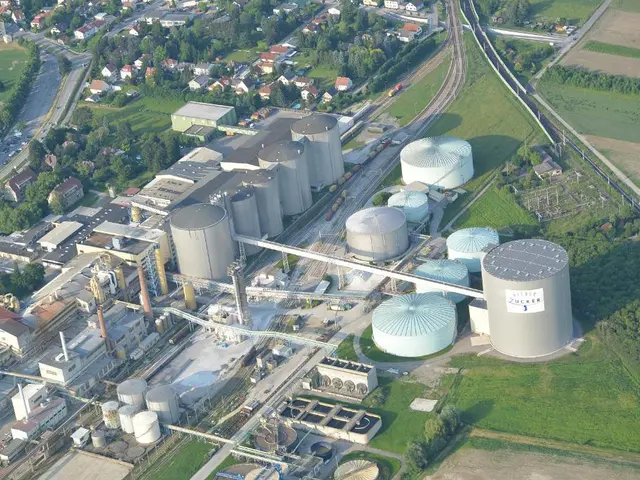 Windsor's homelessness situation becomes clearer - council seeks a more detailed understanding