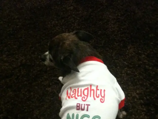 Treatment of MALT Lymphoma with Monoclonal Antibodies like Rituximab: An Overview