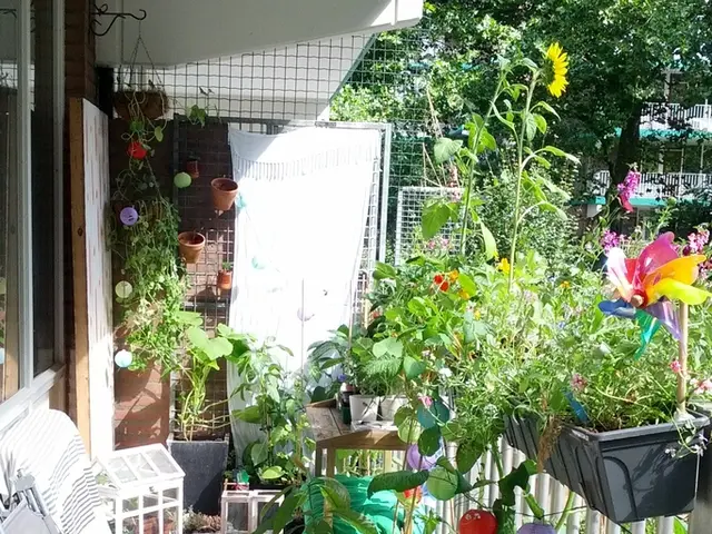 'Fruity Life' Redux Screening