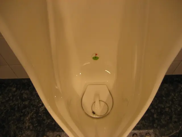 Frequent Incidences of Urinary Tract Infections: Understanding the Cause