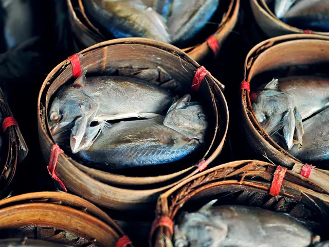 Protective Measures Implemented by Fishermen's Association for Endangered Freshwater Cod