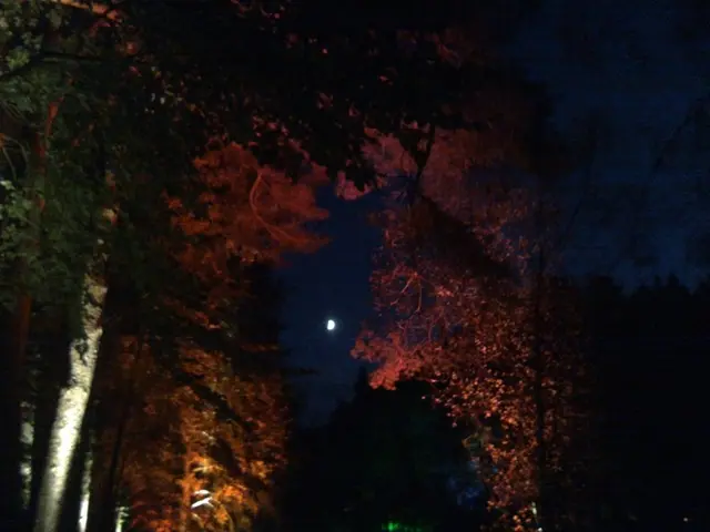 Celestial bodies trailed Earth during its solar path, leading to speculation that they may be...