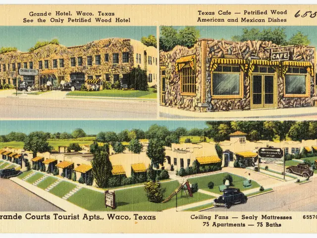 Assessment Template for Algorithmic Impact: AIA Blueprint