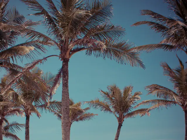 Groups of individuals sought aid following a swim at Nazareth's coastal location