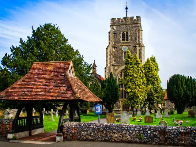 Wealthy Pension Criticism by Saleh Unveiled