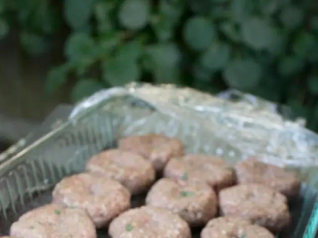 Exploring Butyrate: Its Advantages and Potential Drawbacks in Health