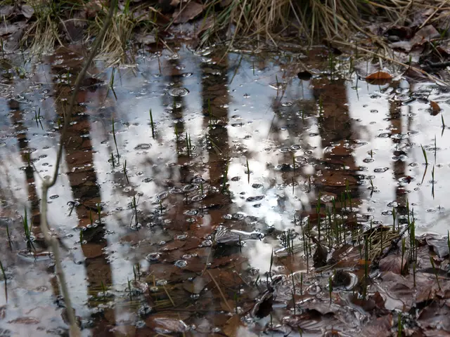 Avoid drinking directly from the tap, Rīgans advised.