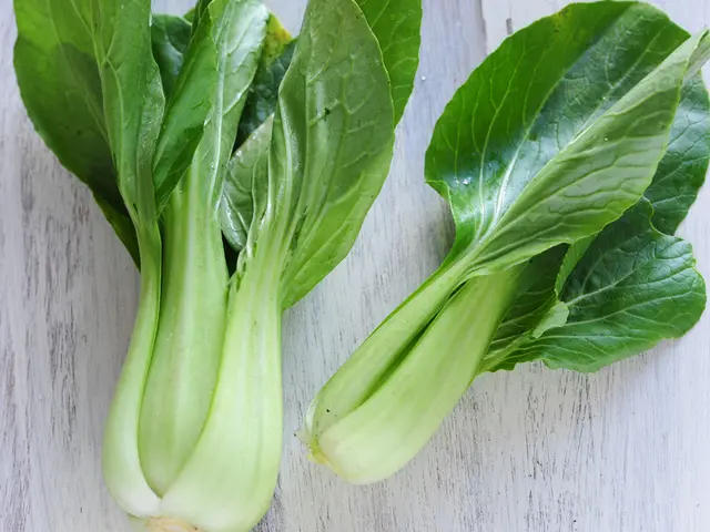 Vegetables with a green hue and leafy structure: Description, nutritional content, and advantages