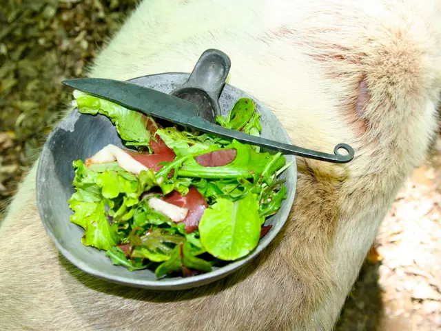 Ulcerative colitis connection to environmental factors: Causes, risks, and additional insights