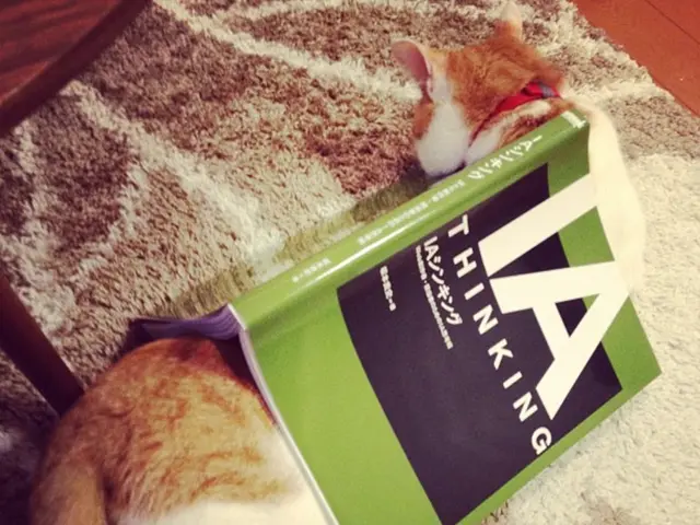 Scientists Scour Internet for Cat Videos