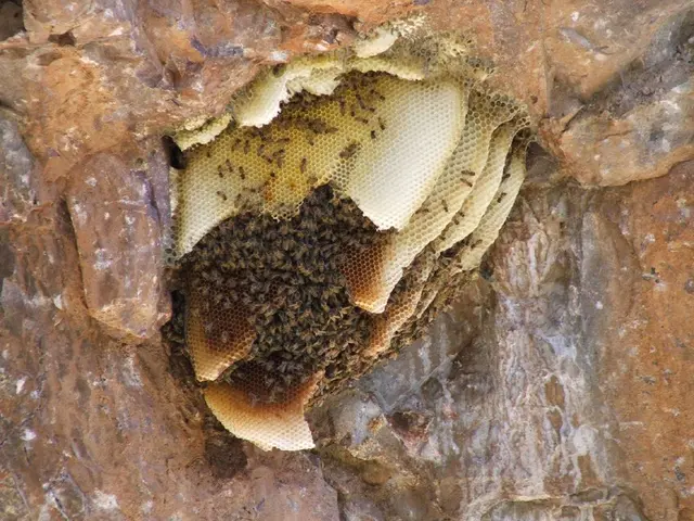 Hives in cold weather: Symptoms, triggers, and remedies