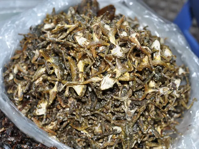 Consequences of Consuming Outdated Fish Oil Capsules