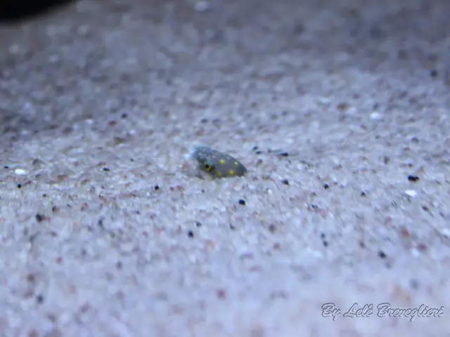 Urgent phone call originating from a distance of 400 kilometers: individual in need requests a...