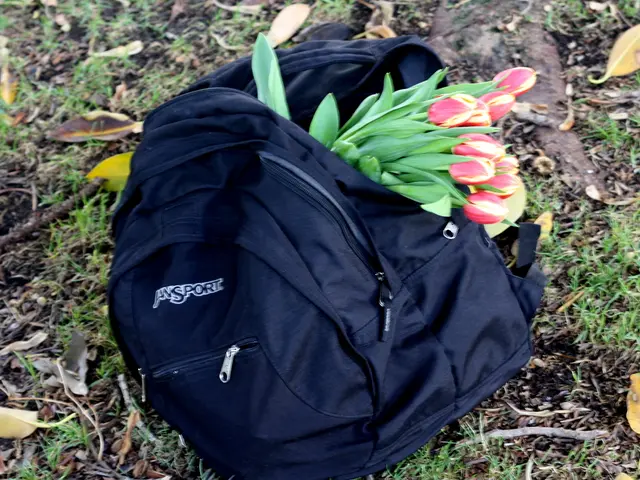 Exploring CBD Flower Delivery Services in 2025: A Comprehensive Look at Elite Hemp Flower Delivery...