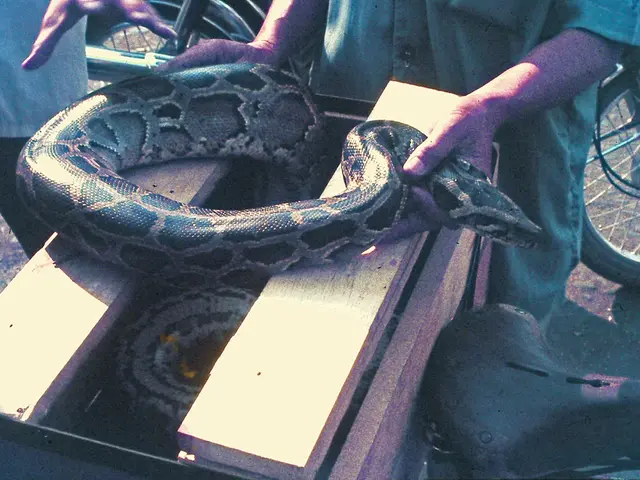 Mental Influence over Physical Phenomena: Unraveling the Mystery of Psychokinesis