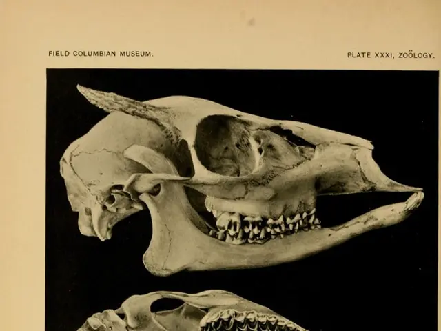 First American participant signed up for ATHENA trial by Anaconda Biomed