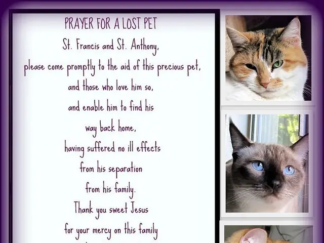 Researchers require your feline images and data for study purposes