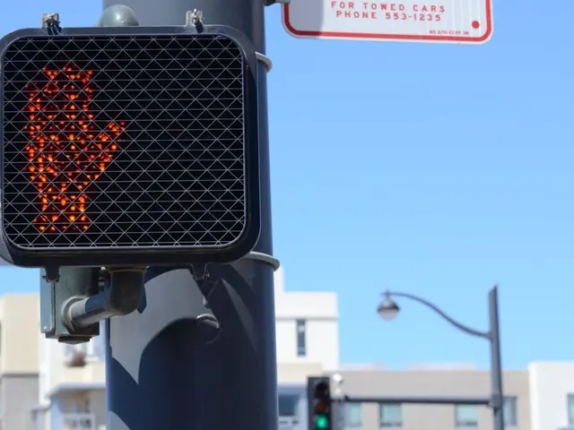 Proposal Solicited for Worker Radiation Safety Directive by Commission Regarding Ionizing Radiation...