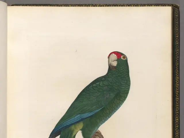 Strategies for Maintaining Cognitive Agility