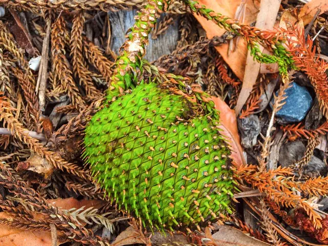 12 Home-Grown Foods Proven to Keep You Hydrated According to Scientific Research