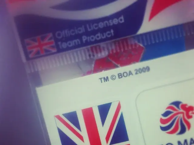 Permanent Driver's License: Significant Infraction Implicated