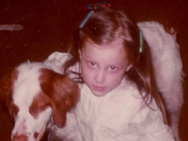 Evaluated Top-Tier Canine Joint Support Supplements