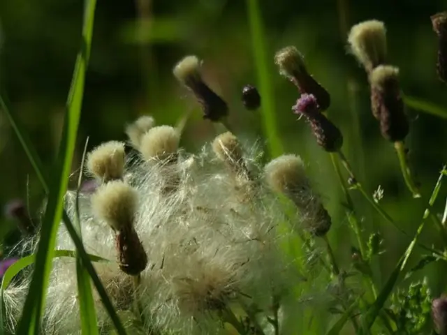 Robotics Company Saga Secures $11.2 Million Funding for Expansion of UV-C Light-Equipped Bot Army...