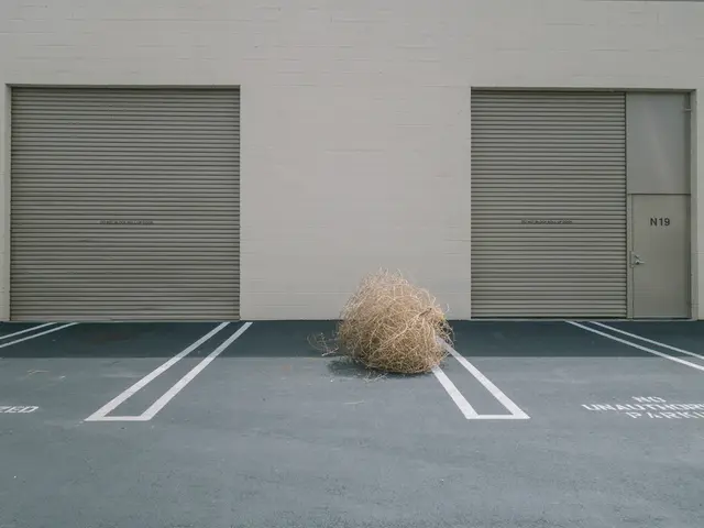 Overindulgence in Dietary Fiber Potentially Harming Gut Wellness