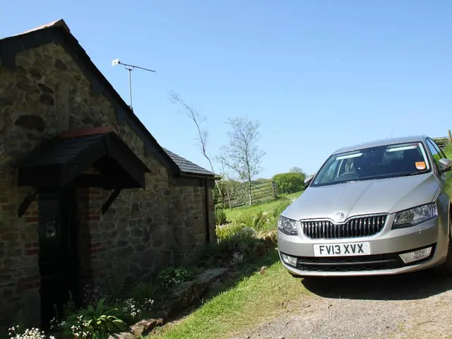 Foundational Elements of Mental Wellness: Rest, Nutrition, and Physical Activity