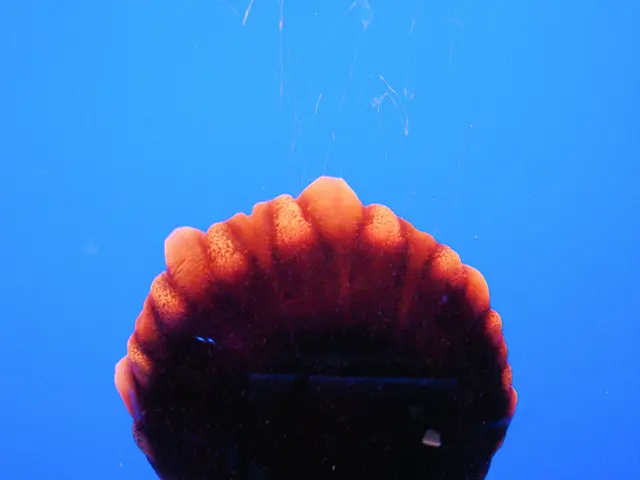 Alert Issued for Suspected HIT Incident