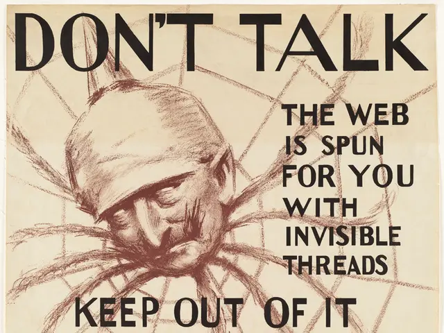 Analysis of Emotions Using Facial Expressions and Biometric Data from the Heart and Skin