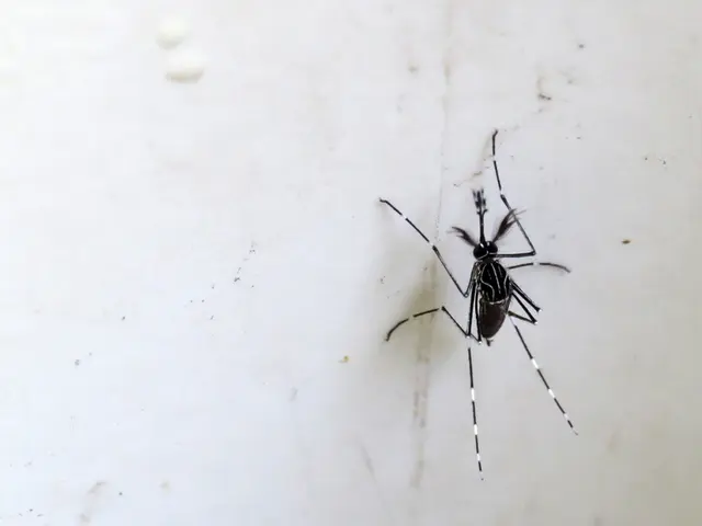 Surge in deaths caused by dengue fever in Bangladesh