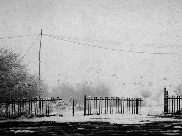 Frigid temperatures may pose threats to the health of your heart and lungs.