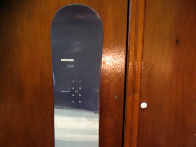 Brain Structures in Motion: Examining the Impact of Red Nucleus and Rubrospinal Tract on Movement...