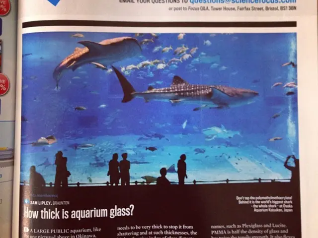 Connection between Blood Pressure and Stroke: An Examination of Their Relationship