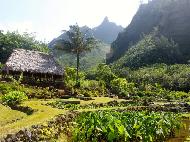 Muscular and skeletal discomfort: Signs, root causes, and additional information