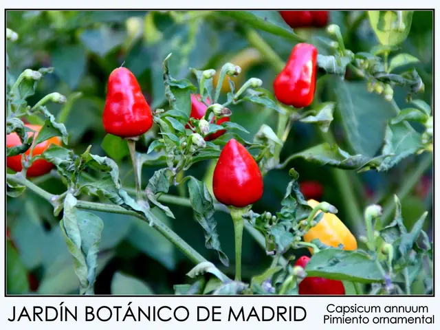 Plant Pathogens: An Overview of Bacterial Infections in Flora