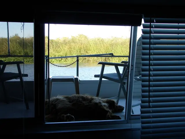 Accidental deaths in Tudor England often unveil intriguing aspects of their everyday existence