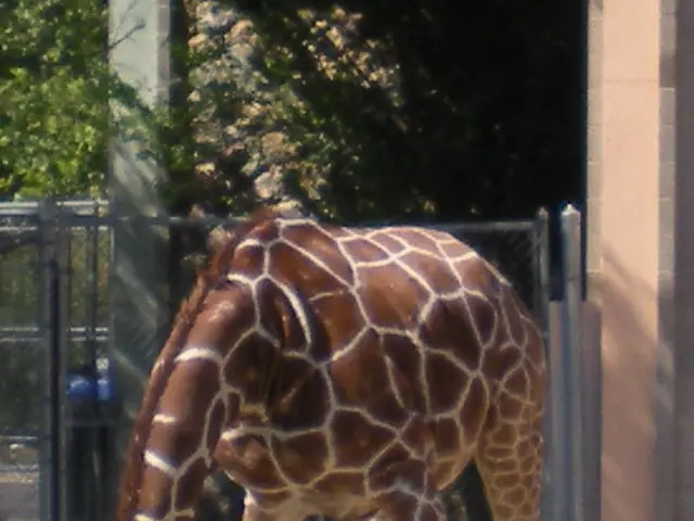 Genetic factors may play a role in one's ability to stick to a vegetarian lifestyle.