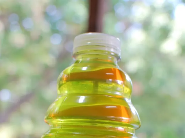 Effortless Weight Loss and Unlimited Energy: The Hidden Key to Metabolic Adaptability