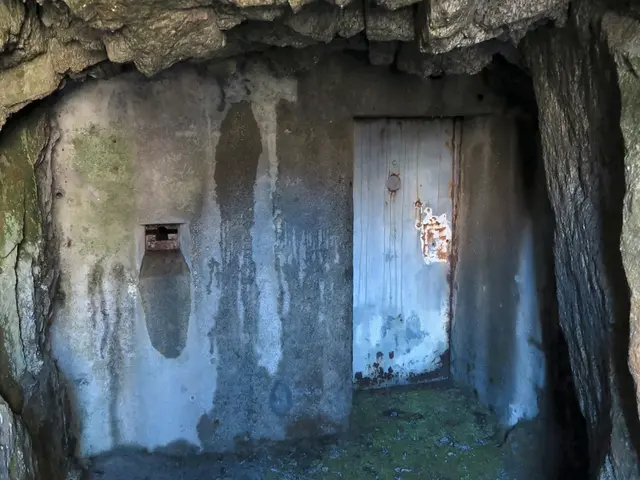 Unveiling the Third Installment: The Stench Continues