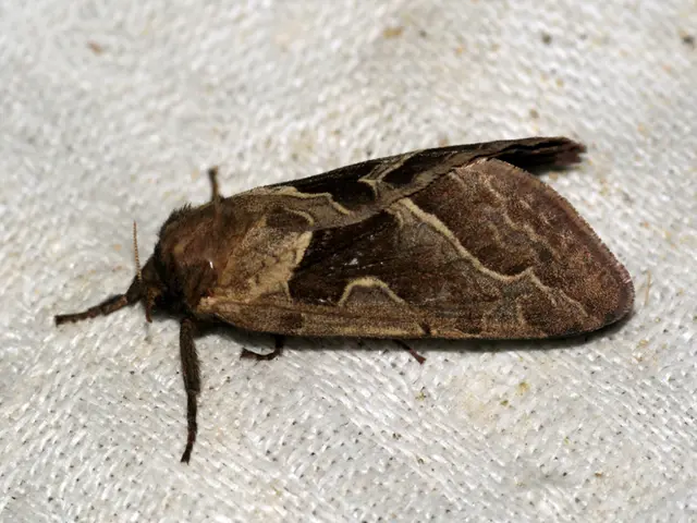 Treatment-resistant cancer could potentially be overcome with anti-inflammatory medications,...