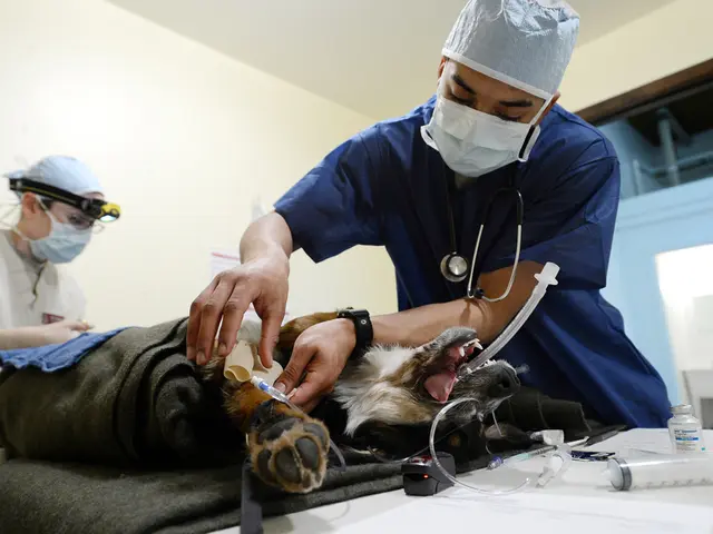 City and Railways Along the Rhine River Distribute Sanitation Supplies