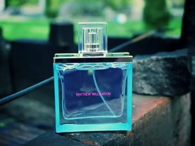 Exploring the Purposes and Significance of Our Smell Senses: A Look at Their Role and Impact