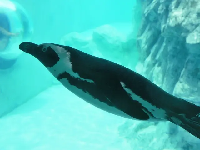 "Jack Osbourne reacts sharply to Roger Waters' criticism regarding his father Ozzy, labeling his...