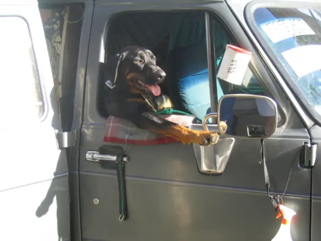 Understanding Benzoyl Peroxide: Explore an Old Yet Effective Acne Treatment