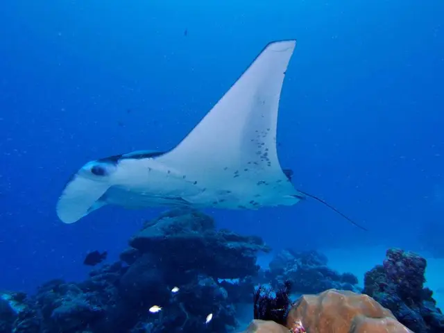 The lake in Borlefzen has been discharged
