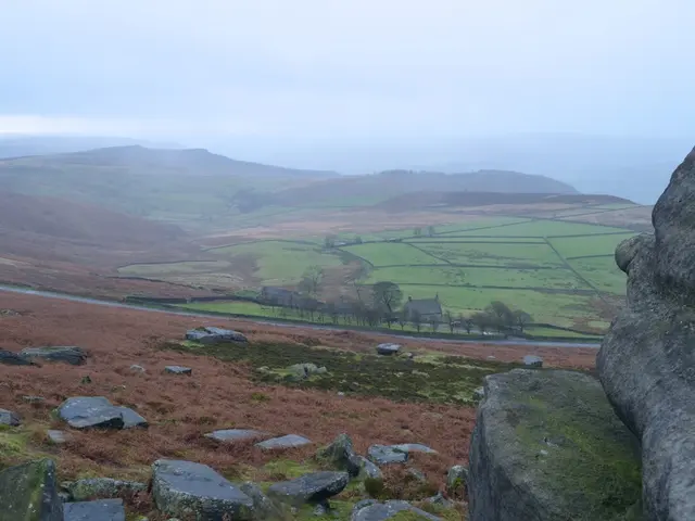 Commemorating Ayurveda Day 2024: Release of AYUSH's Capabilities for Universal Wellness on a Global...