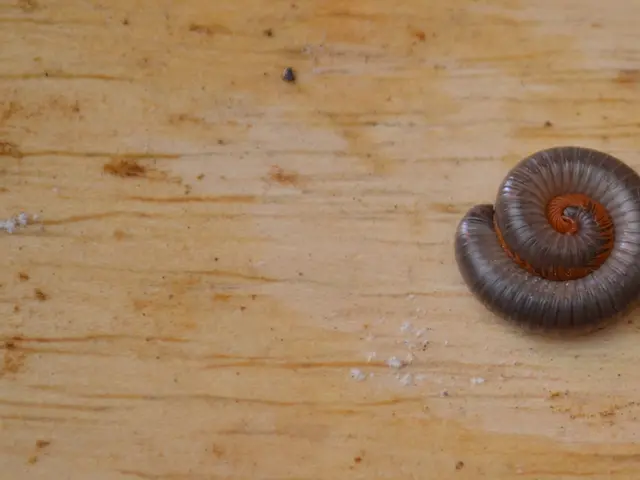 Open Positions for Health Staff at Kamal Rural Municipality in 2082